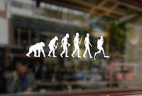 25 Centimeters Diver Evolution Scuba Diving Vinyl Stickers Funny Decals Bumper Car Auto Computer Laptop Wall Window Glass Skateboard Snowboard