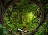 Leowefowa 7X5FT Jungle Forest Backdrop Dreamland Cascade Dirt Road Path Backdrops for Photography Old Trees Spring Vinyl Photo Background Kids Adults Shoot Studio Prop Wild One VBS Themed Safari Party
