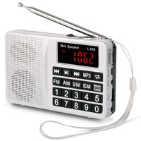 PRUNUS Portable SW/FM/AM (MW)/MP3/USB/SD/TF Radio. Large Button and Large Display. Stores Stations Automatically. Allowing The User to Play Stored MP3 Files. (No Manual Memory Stations Function)