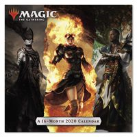 2020 Magic: The Gathering Wall Calendar (DDW2172820)