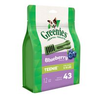 GREENIES TEENIE Natural Dog Dental Care Chews Oral Health Dog Treats Blueberry Flavor, 12 oz. Pack (43 Treats)