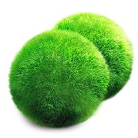 Luffy Giant Marimo Moss Balls, Aquarium Decor or a Perfect Heirloom Gift, Symbolize Eternal Love, Good Luck Charm, Loved by Aquarium Pets, 2-Piece