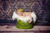 Faux Mongolian Fur Photography Prop, Newborn Prop, Basket Stuffer, Layering Blanket, Rug (Small, 18"x20", Ivory)