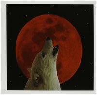 3dRose Lunar Wolf - Greeting Cards, 6 x 6 inches, set of 6 (gc_9167_1)