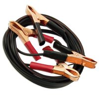 10-Ft Cable with Clamps - 16 AWG Copper UL 10 Amp