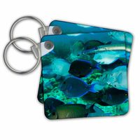 3dRose Trumpet Fish Swimming, School of Blue and Purple Tangs, Bonaire, N.A. - Key Chains, 2.25" x 2.25", Set of 2 (kc_226519_1)