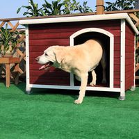 Petsfit Solid Wood Outdoor Dog House for Large Dogsup to 80 lb, 1-Year Warranty