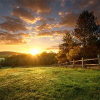 LFEEY 8x8ft Countryside Grassland Backdrop Sunset Glow Rural Farmland Scenery Wooden Fence Glass Farm Meadow Photography Background Photo Studio Props