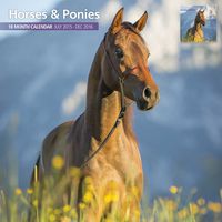 Horses & Ponies 18 Month 2016 Wall Calendar