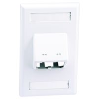 Panduit CFPSL2WHY 1-Gang 2-Port Faceplate, White