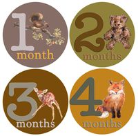 Mumsy Goose Baby Boy Month Stickers (1-12 Months) Woodland Baby Milestones