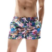 Cocobla Men's Beach Swimming Trunks Boxer Brief Swimsuit Swim Underwear Boardshorts with Pocket (Z_Beach Shorts(Blue Lily), Large(fits Like US Medium))