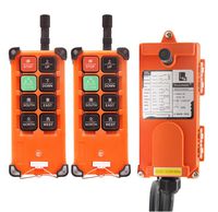NEWTRY 8 Buttons Wireless Crane Remote Control 12V 2 Transmitters Industrial Channel Electric Lift Hoist Radio Switch Receiver (F21E1B Transmitter + DC 12V Receiver)