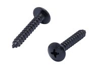 #8 X 1 Stainless Truss Head Phillips Wood Screw, (25pc), Black Xylan Coated 18-8 (304) Stainless Steel Screws, by Bolt Dropper