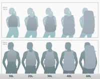 Dakine Men's 101 29L Backpack, Tabor, OS