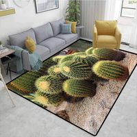 Bigdatastore Cactus Ikat Area Rug Entryway, Golden Barrels Cactaceae Family Desert Succulent Indigenous Foliage, Durable Rugs - Living, Dinning, Office, Rooms & Bedrrom, Hallway Carpet(2.5'x 9')