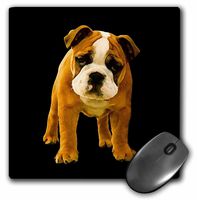 3dRose LLC 8 x 8 x 0.25 Inches Bulldog Puppy Mouse Pad (mp_3660_1)