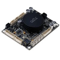 2 x 50 Watt Class D DSP Audio Amplifier Board