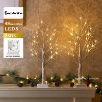 EAMBRITE Set of 2 2FT 24LT Warm White LED Birch Tree Light Tabletop Bonsai Tree Light Jewelry Holder Decor for Home Party Wedding Holiday