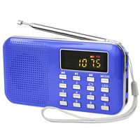 Blue Portable Rechargeable Electronic Audio Bible Player 8G NIV Version with Praise Poetry and Sermon