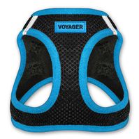 Voyager Step-In Air Dog Harness - All Weather Mesh, Step In Vest Harness for Small and Medium Dogs by Best Pet Supplies - Blue, Medium (Chest: 16" - 18")
