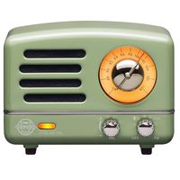 Muzen Portable Wireless High Definition Audio FM Radio & Bluetooth Speaker, Metal Green with Travel Case - Classic Vintage Retro Design