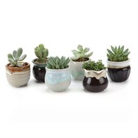 T4U Small Ceramic Succulent Planter Pots with Drainage Hole Set of 6, Sagging Glazed Porcelain Handicraft as Gift for Mom Sister Aunt Best for Home Office Restaurant Table Desk Window Sill Decoration