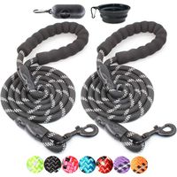 BAAPET 2 Packs 5 FT Strong Dog Leash with Comfortable Padded Handle and Highly Reflective Threads Dog Leashes for Medium and Large Dogs (Black+Black)