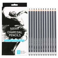 Professional Charcoal Pencils Drawing Set - 12 Pieces Soft Medium and Hard Charcoal Pencils for Drawing, Sketching, Shading, Artist Pencils for Beginners & Artists