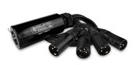 CAT Tails MX - Male XLR Breakout 4 Lines of XLR Analog Audio, AES3, DMX or COM