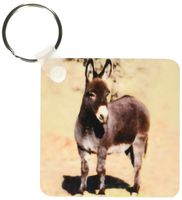 3dRose Miniature Donkey - Key Chains, 2.25 x 4.5 inches, set of 4 (kc_1236_2)