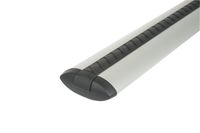 Rhino Rack Vortex Bar (Silver 54") - VA137S