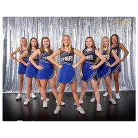 Backdrop Fabric Curtain Silver-10FTx10FT-Sequin Photo Backdrop Shimmer Curtains for Backdrop Sequin-Curtain-Backdrop~1116E