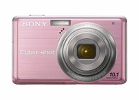 Sony Cybershot DSC-S950 10MP Digital Camera with 4x Optical Zoom with Super Steady Shot Image Stabilization (Pink)