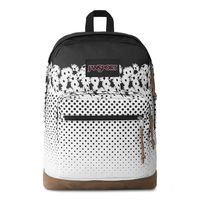 JanSport Right Pack Expressions - Lightweight 15" Laptop Backpack | Floral Horizon Black