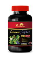 Immune System Health - Immune Support 1550 Mg Complex - Green Tea Extract Capsules - 1 Bottle 60 Capsules