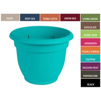 Bloem Ariana 10-inch Planter with Self Watering Grid Calypso