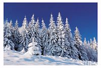 9ft x 6ft Birthday, Child Snow VINYL Scene Backdrop WINTERLAND Wall Mural PROP