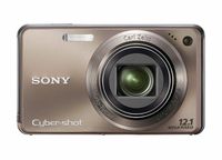 Sony Cyber-shot DSC-W290 12 MP Digital Camera with 5x Optical Zoom and Super Steady Shot Image Stabilization (Bronze)