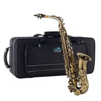EastRock Students Alto Saxophone Antique Finished E Flat with Hard Case,Mouthpiece,Mouthpiece Pads,Cleaning Cloth&Cleaning Rod,White Gloves,Alcohol Pads,Strap
