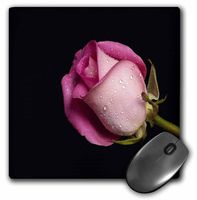3dRose LLC 8 x 8 x 0.25 Inches Mouse Pad, Pink Rose with Dew on Black (mp_59791_1)