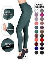 SATINA #1 High Waisted Buttery Soft Leggings | Regular and Plus Size | 22 Colors (Plus Size, Sea Foam)