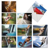 The Best Card Company - 10 Blank Dog Greeting Cards for All Occasions (4 x 5.12 Inch) - Doggie In The Window M6481OCB