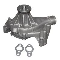 ACDelco 252-719 Professional Water Pump Kit