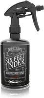 Dr. Killigan's Six Feet Under Non Toxic Insect Spray | Indoor Natural Pest Control & Safe Insecticide | Flea, Tick, Pantry & Clothing Moths, Ant, Cockroach Killer | Family Friendly, Pet Safe (24 oz)