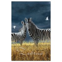 Tree-Free Greetings ECOnotes Blank Note Cards, Matching Envelopes, Blank Stationary Card Set, 4" x 6", Zebra Pair, Pack of 12 (FS66738)