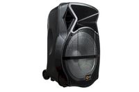 Quantum QDJ15 Portable Speaker System