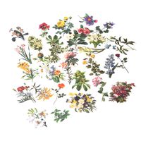 Beyong [60PCS] Cute Flowers Stickers, Watercolor Potted Plant Decals, for Phone, Pad, Laptop, Planner, Diary, Journal, Scrapbook