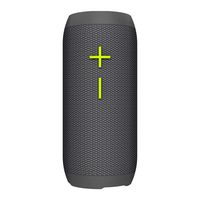 Wild Flag TW425 True Wireless Bluetooth Speaker - Grey