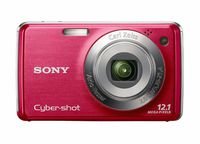 Sony Cyber-shot DSC-W230 12 MP Digital Camera with 4x Optical Zoom and Super Steady Shot Image Stabilization (Dark Red)